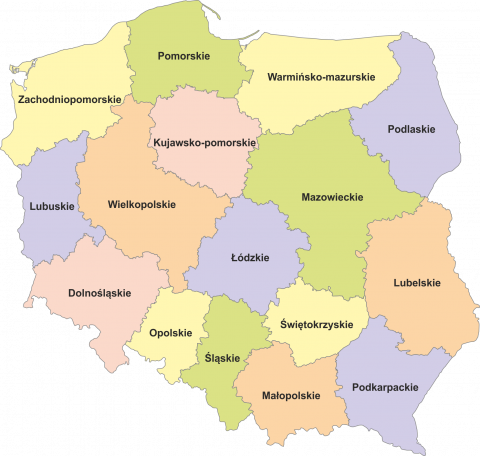 Podział Polski na jednostki NUTS 2 w rewizji NUTS 2010